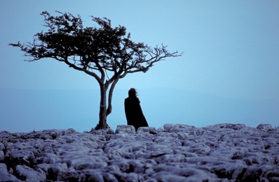 呼啸山庄剧照的剧照