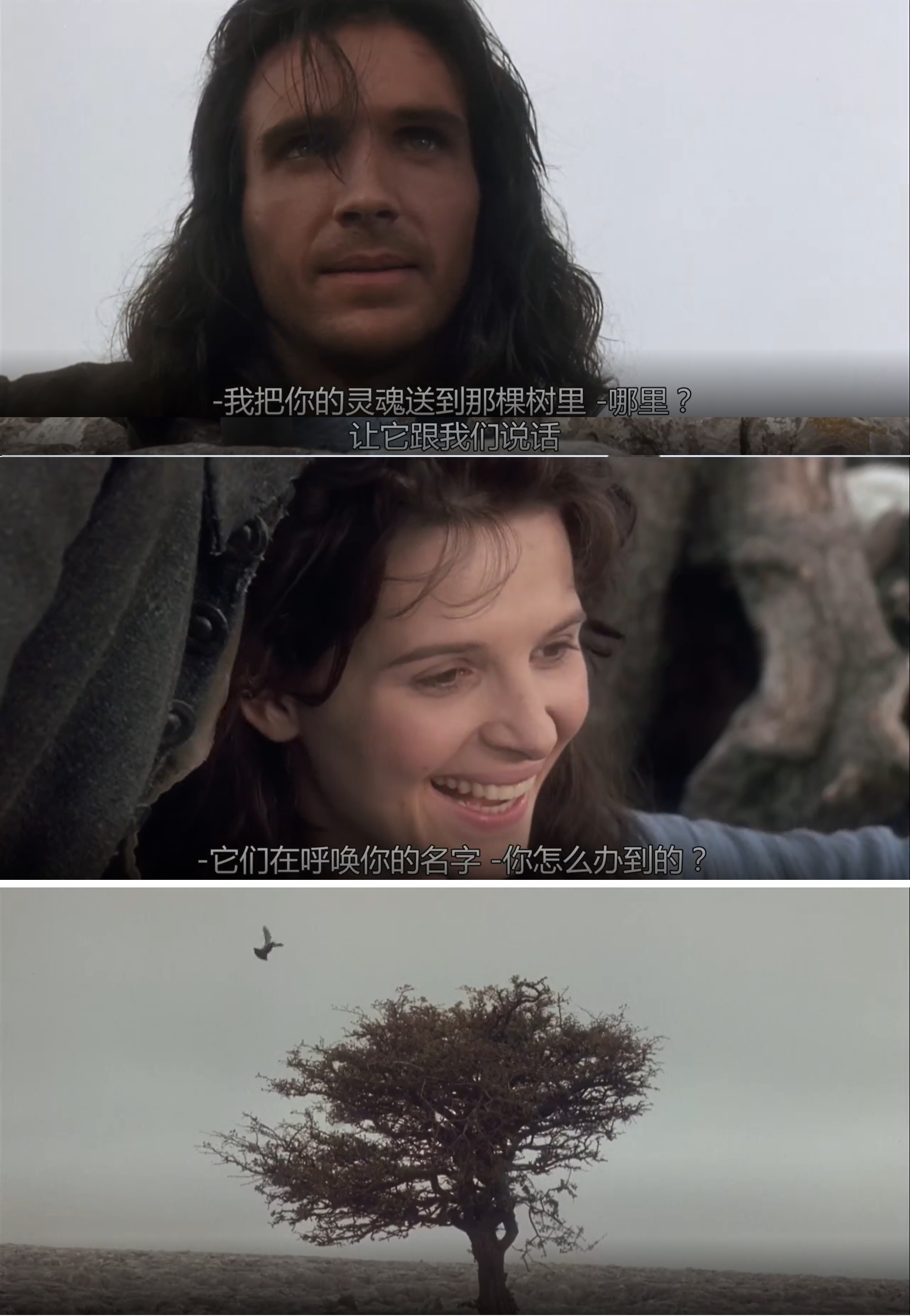 呼啸山庄剧照的剧照