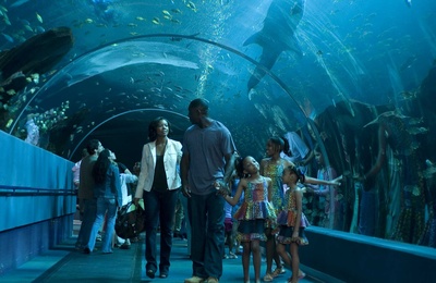 爸爸的女儿们剧照的剧照