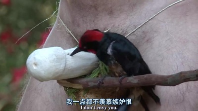 蠢蛋搞怪秀3.5剧照的剧照