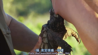 蠢蛋搞怪秀3.5剧照的剧照