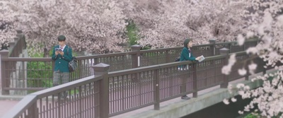 我想吃掉你的胰脏剧照的剧照