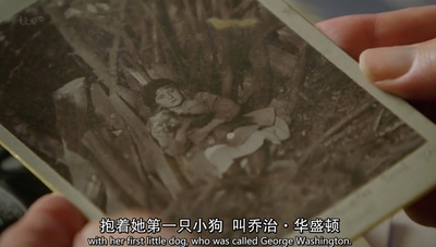 阿加莎·克里斯蒂的谜样人生剧照的剧照