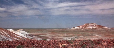 沙漠妖姬剧照的剧照