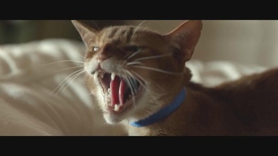 小奸小恶剧照的剧照