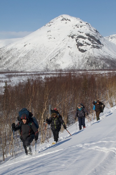 迪亚特洛夫事件剧照的剧照
