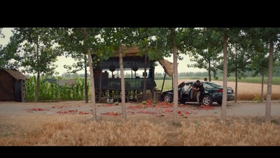 杀瓜剧照的剧照