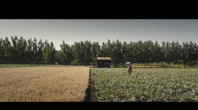 杀瓜剧照的剧照