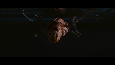 恶床剧照的剧照