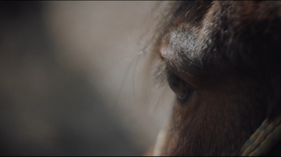 老兽剧照的剧照