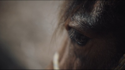 老兽剧照的剧照