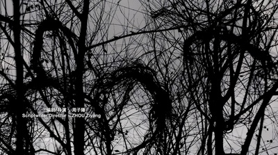 老兽剧照的剧照