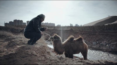 老兽剧照的剧照