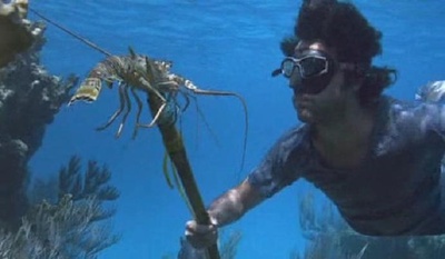 荒岛惊魂剧照的剧照