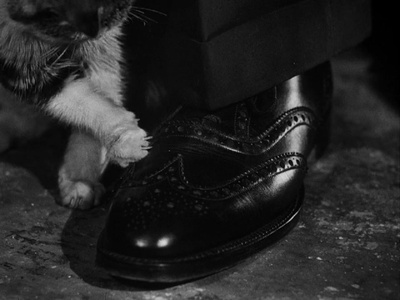 第三人剧照的剧照