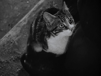 第三人剧照的剧照