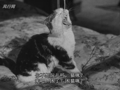 第三人剧照的剧照