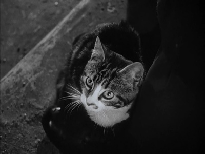 第三人剧照的剧照