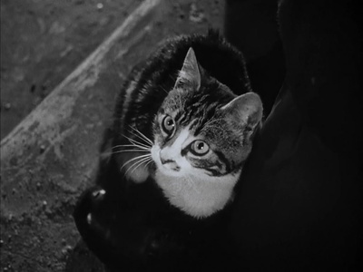 第三人剧照的剧照