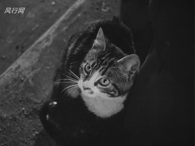 第三人剧照的剧照