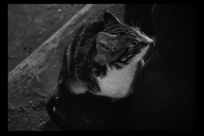 第三人剧照的剧照