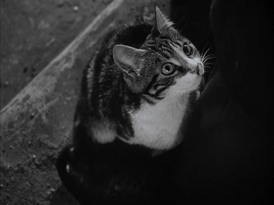 第三人剧照的剧照