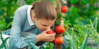 玛丽和修女剧照的剧照