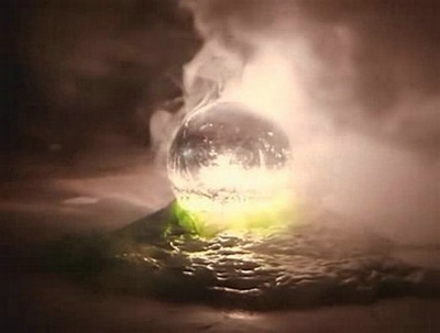 融掉低等生物3剧照的剧照