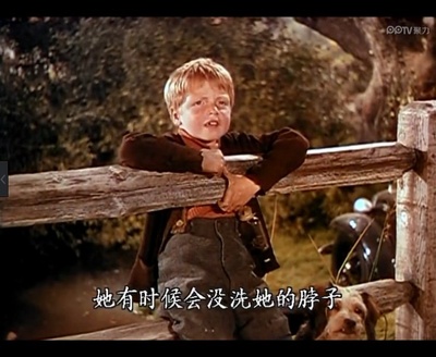 玉女神驹剧照的剧照