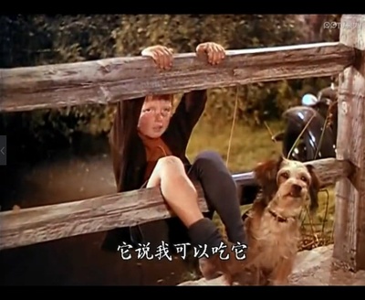 玉女神驹剧照的剧照