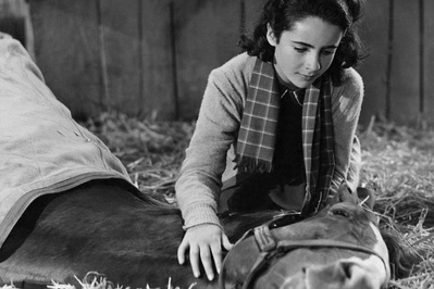 玉女神驹剧照的剧照