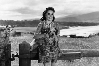 玉女神驹剧照的剧照