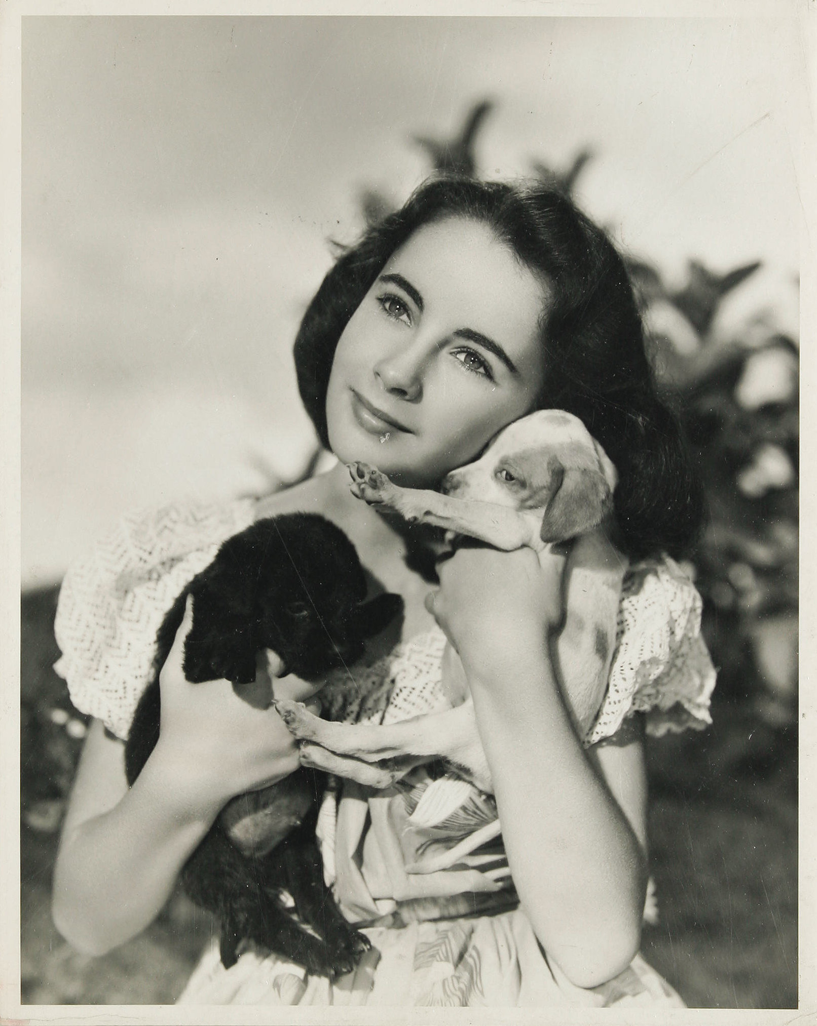 玉女神驹剧照的剧照