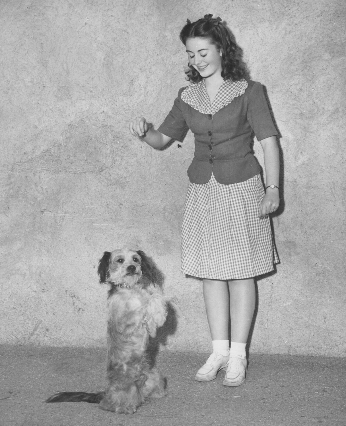 玉女神驹剧照的剧照