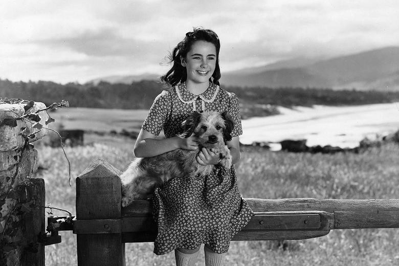 玉女神驹剧照的剧照