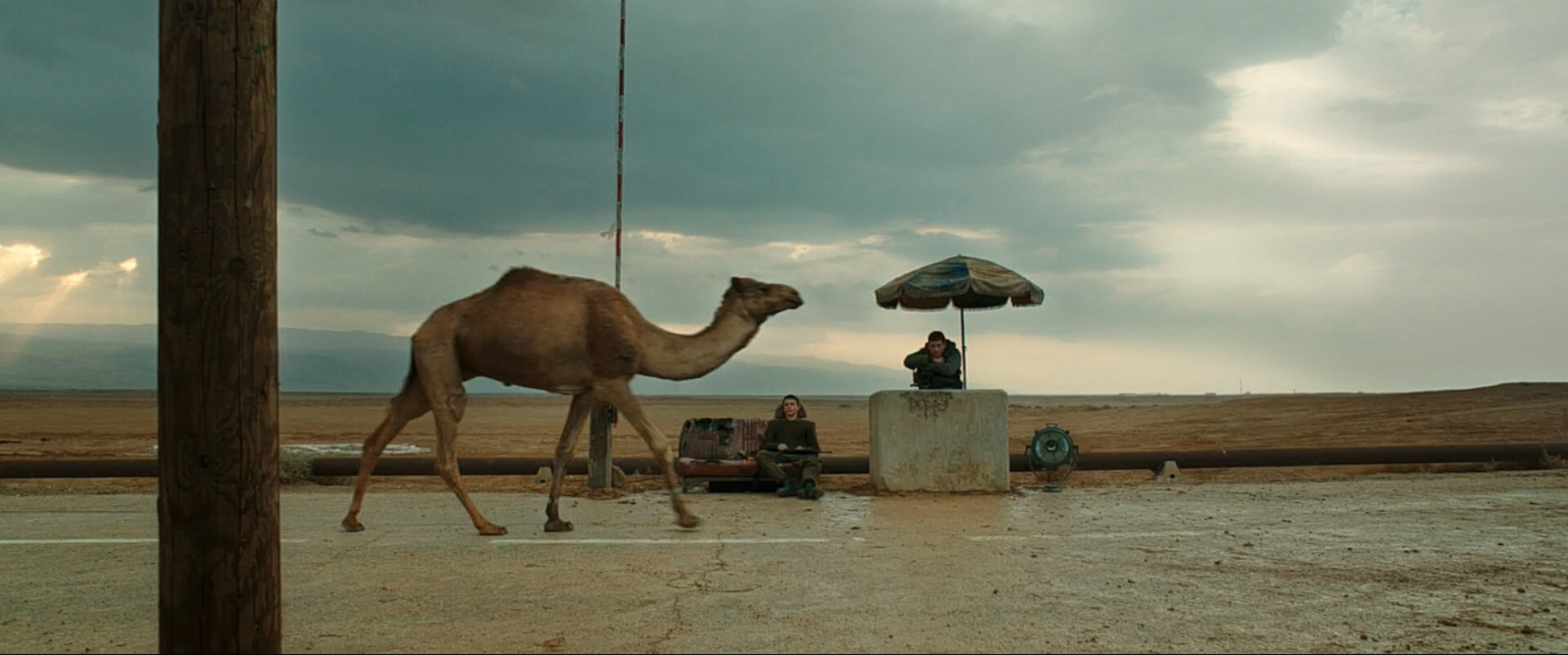 狐步舞剧照的剧照