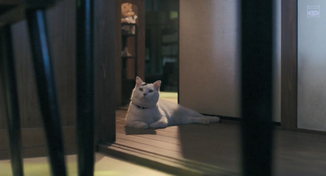 食女剧照的剧照