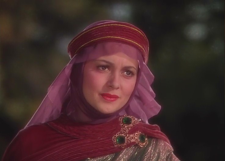 罗宾汉历险记剧照的剧照