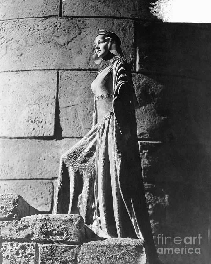 罗宾汉历险记剧照的剧照