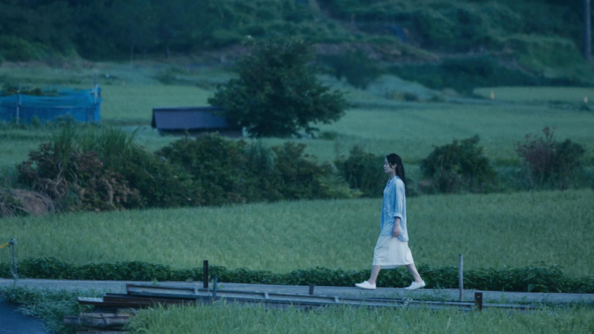 四月的长久梦剧照的剧照