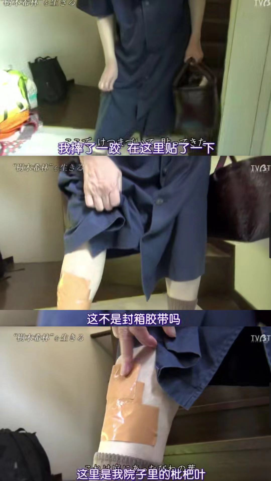 活出“树木希林”剧照的剧照