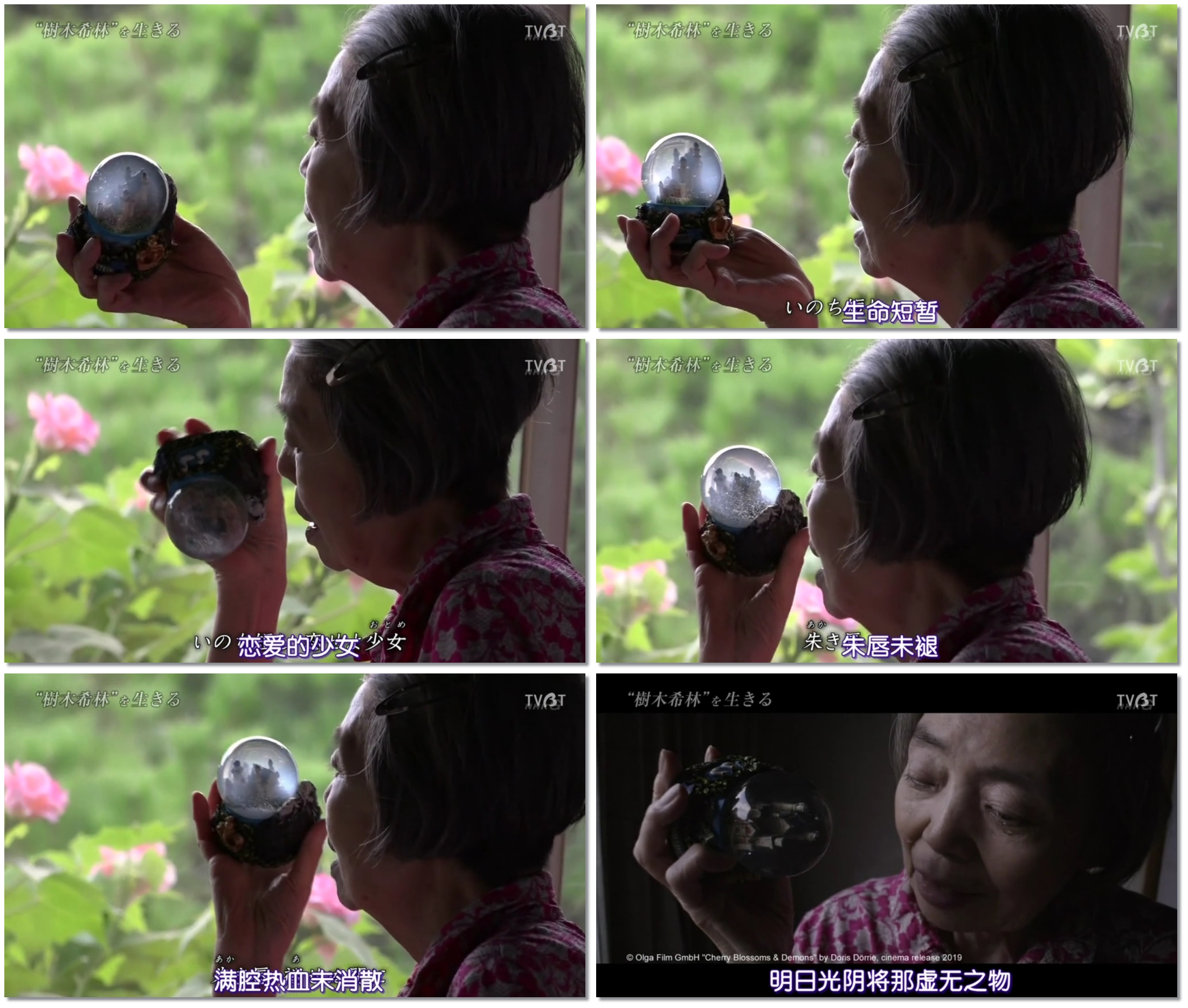 活出“树木希林”剧照的剧照