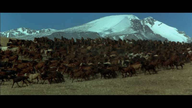 您一定不要错过剧照的剧照