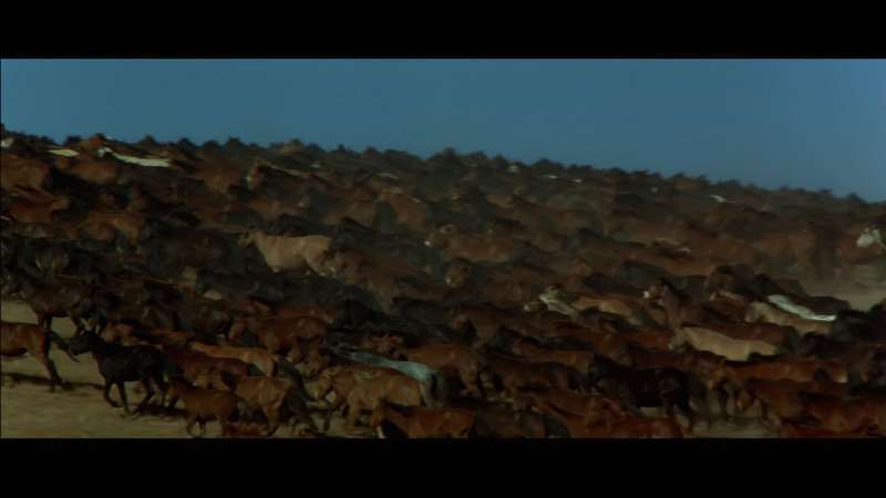 您一定不要错过剧照的剧照