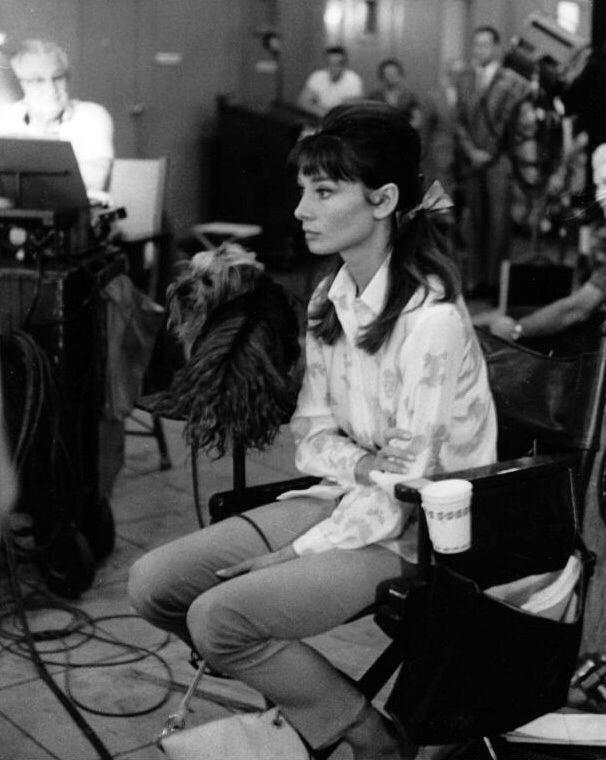 双姝怨剧照的剧照