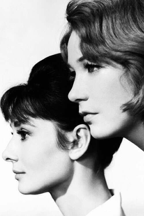 双姝怨剧照的剧照