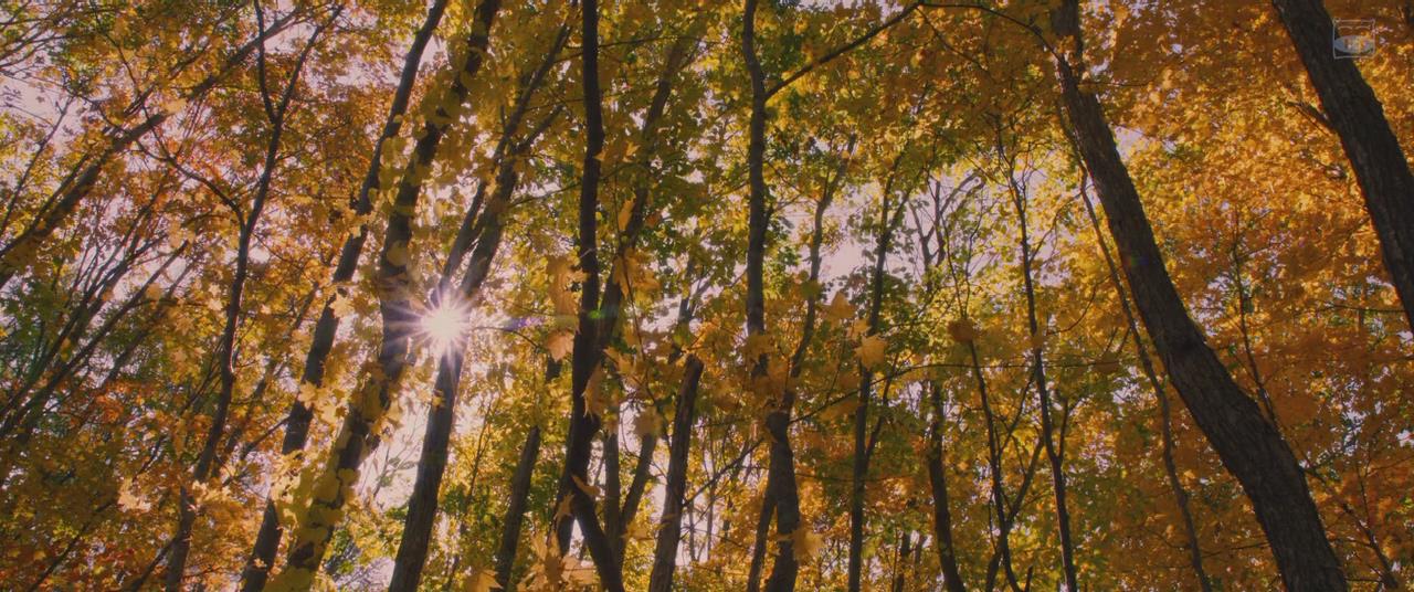 积爱之人剧照的剧照