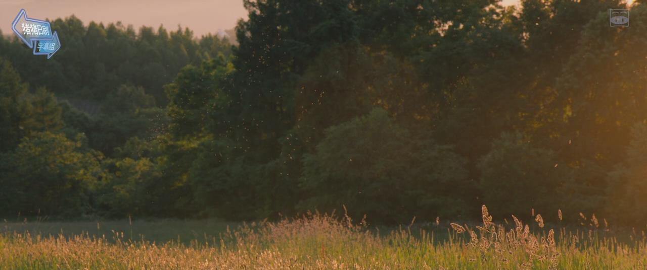 积爱之人剧照的剧照