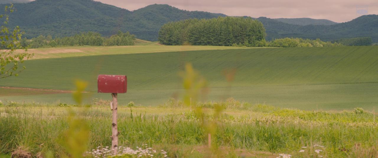 积爱之人剧照的剧照