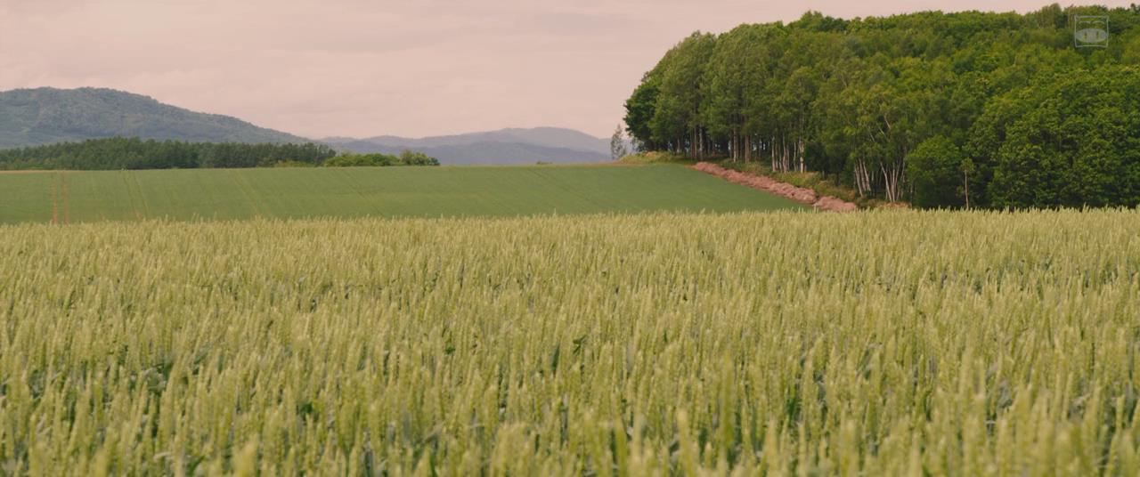 积爱之人剧照的剧照